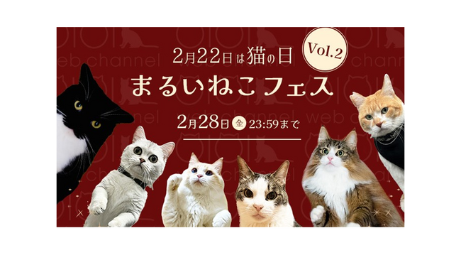 総フォロワー数１００万人以上！人気猫ちゃんとのコラボイベント「まるいねこフェス」第２弾を「猫の日」に合わせて開催！