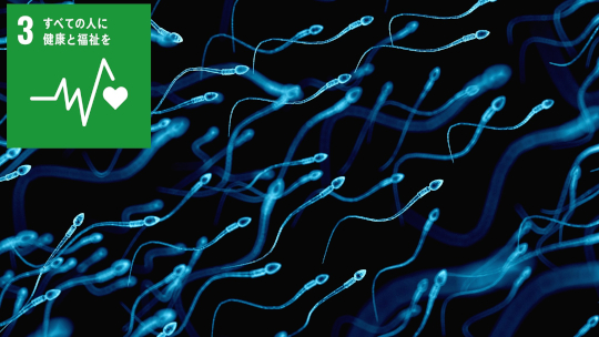 精子膜タンパク質の酸化が体外受精における受精率低下に関与する