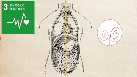 体の左右非対称性の始まりとなる細胞の動きを発見