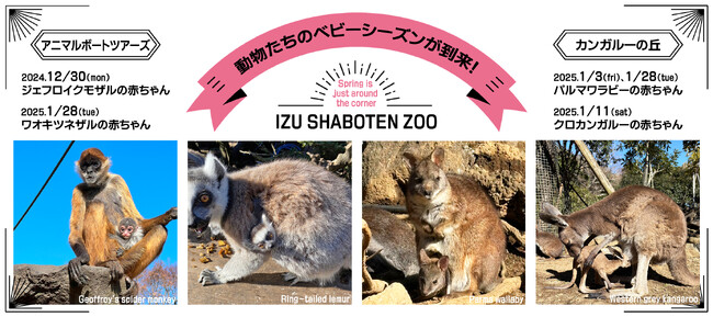 伊豆シャボテン動物公園で、動物たちのベビーシーズンが到来！