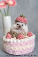 展示作品2 展示作品2