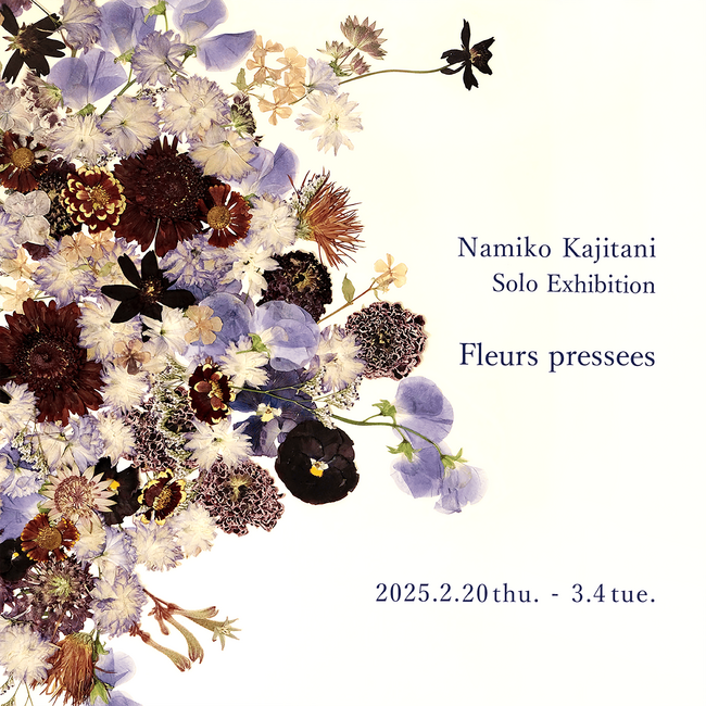 【アルフレックス名古屋】移ろいゆく美しさを味わう絵画のような押し花アート。梶谷奈允子展「Fleurs pressees」開催