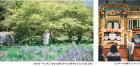 ROKKO森の音ミュージアム「森の音ボタニカルフェア」スイセン、オオヒナユリ、オオデマリなど六甲山のナチュラルガーデンのフラワーシーズン2025年3月15日（土）～5月21日（水）