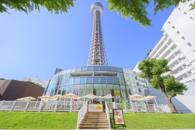 Colorful株式会社、株式会社GATARIと連携し「技術系スタートアップ実証実験等支援プログラム」における脚本制作・コンテンツプランニングを担当