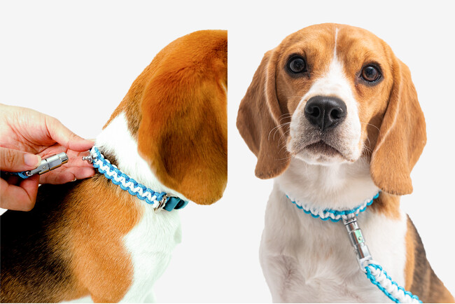散歩中のリード外れ、「ヒヤッ」としたことはありませんか？実体験から生まれた「はなさない」犬用散歩リード＆首輪セット