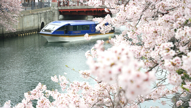 専用クルーズ船で優雅に桜観賞　春を味わうホテルのランチやアフタヌーンティー付きプラン