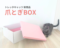 猫に嬉しい2WAY設計の「爪とぎBOX」　ピンク色の可愛いデザインの新商品を2月22日(ねこの日)に発売！