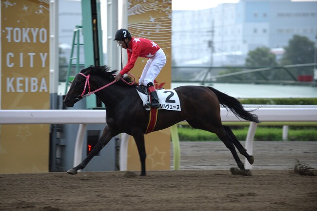 “大井の帝王”的場 文男騎手が引退～51年5か月に渡る騎手生活に幕～