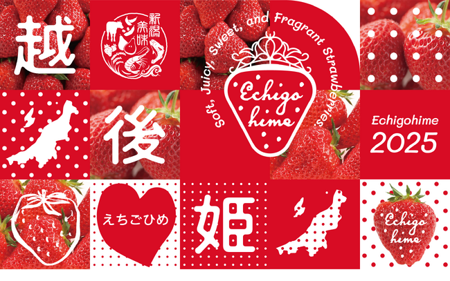 「越後姫」のシーズン到来！本格的な旬を迎える越後姫のPRを新潟県内各地で展開！