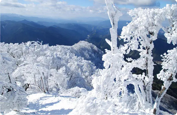 県境にそびえる高見山の霧氷や、万博に展示するジオラマ制作を見に行こう！