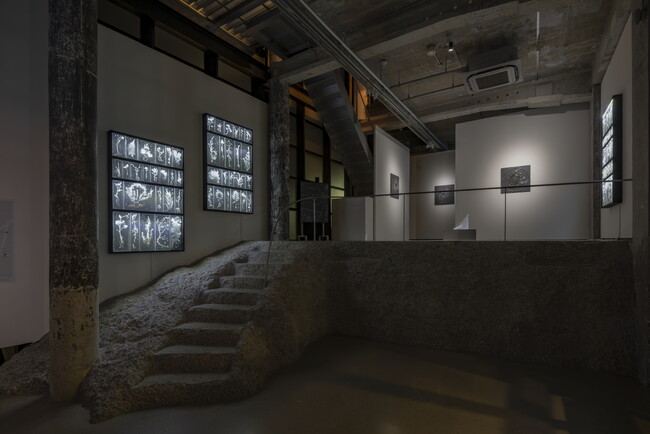 国際的に注目を集めるアーティスト・佐々木類個展「不在の記億」、夜のアートスペース【WALL_alternative】で開幕。