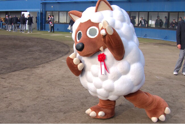 ウルフィがノーバン始球式！？で盛り上げる！少年・少女たちの熱き挑戦！小学生の硬式野球大会が開幕！「ウルフィキャラバン旗サラスポーツ杯争奪大会」