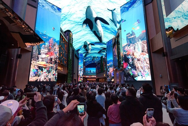 韓国インスパイアのデジタルストリート「オーロラ」オープンからわずか1年余りで来場者数500万人を記録！