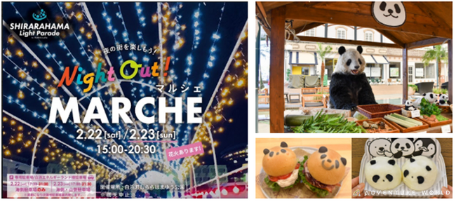 イルミネーション＆花火が彩る冬の白浜！「Night Out! MARCHE」に出店パンダのキャラクター「すみれ（Smile）」も屋台パンダの店長として特別出張！