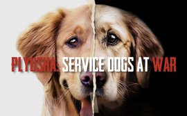 映画「プリューシャ」 映画「プリューシャ」