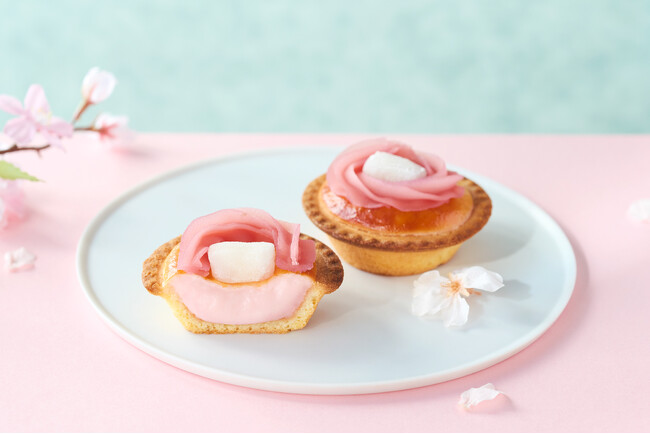 【期間限定】ピンクの桜色に染まった春の新作タルト求肥のモチッと食感に甘じょっぱさが絶妙！和×洋が新感覚の「焼きたてチーズタルト 桜もち」