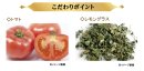 こだわりポイント