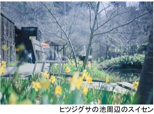 ROKKO森の音ミュージアム ミュージアム＆ガーデン年間イベントスケジュール発表