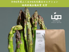 受賞商品『HACOCHA 001 Asparagus』 受賞商品『HACOCHA 001 Asparagus』