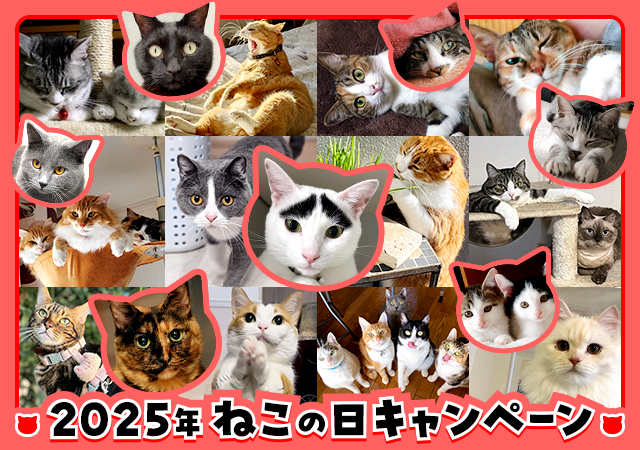 「ペットゴー（petgo.jp）」2025年ねこの日キャンペーン開催