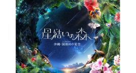 最新作『星結いの森-沖縄・国頭村の星空-』2/28(金)より上映開始! 最新作『星結いの森-沖縄・国頭村の星空-』2/28(金)より上映開始!