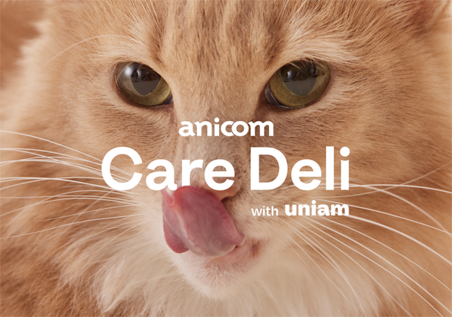 ペット保険会社グループのアニコムとねこ特化フード事業のuniam、愛猫の健康をサポートする猫用ウェットフード「anicom Care Deli with uniam」を共同開発