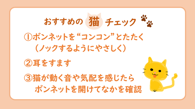 猫がクルマに入り込んでしまったトラブル１カ月で２８件！１年通して発生するトラブル、暖かくなっても引き続きご注意を！