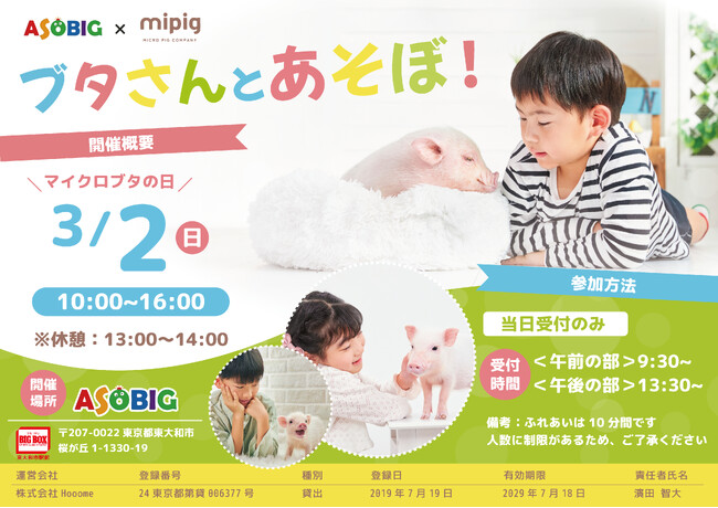 ミニブタ・マイクロブタの日（3/2）にあそびっぐで、ふれあいmipigを開催