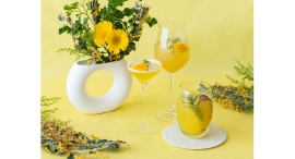 国際女性デーにちなみ「ミモザ」をモチーフにした限定カクテルが登場!【三井ガーデンホテル横浜みなとみらいプレミア】 国際女性デーにちなみ「ミモザ」をモチーフにした限定カクテルが登場!【三井ガーデンホテル横浜みなとみらいプレミア】