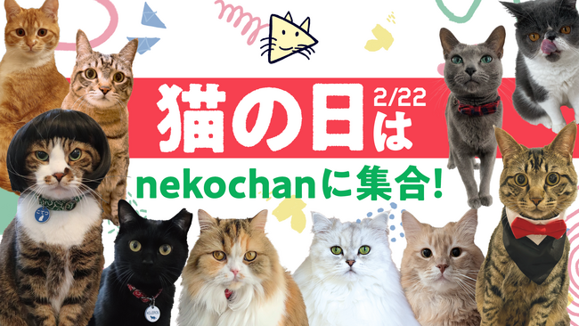【2月22日 猫の日はnekochanに集合！】猫だけのライブ配信アプリnekochan猫の日SP企画！期間限定スタンプも登場！