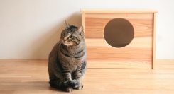 【猫の日記念】ねこ家具ブランド「MIT neko.」。対馬の地域資源を活かし、社会課題解決型の「ねこ」と人をつなぐ家具誕生！