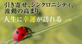 【シンクロ二シティとスピリチュアル覚醒】偶然の一致?引き寄せ? 波動が高まり人生の転機と幸運が訪れる方法(シンクロニシティ現象が起こる時、恋愛で起きる相手とは) 【シンクロ二シティとスピリチュアル覚醒】偶然の一致?引き寄せ? 波動が高まり人生の転機と幸運が訪れる方法(シンクロニシティ現象が起こる時、恋愛で起きる相手とは)
