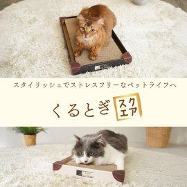 くるとぎスクエア くるとぎスクエア