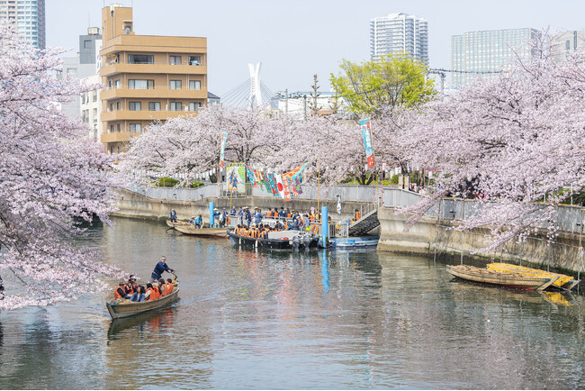 水辺の桜に大接近　第21回 お江戸深川さくらまつり　和船、動力船、カヌーで味わう江戸風情 3月22日(土)より開催