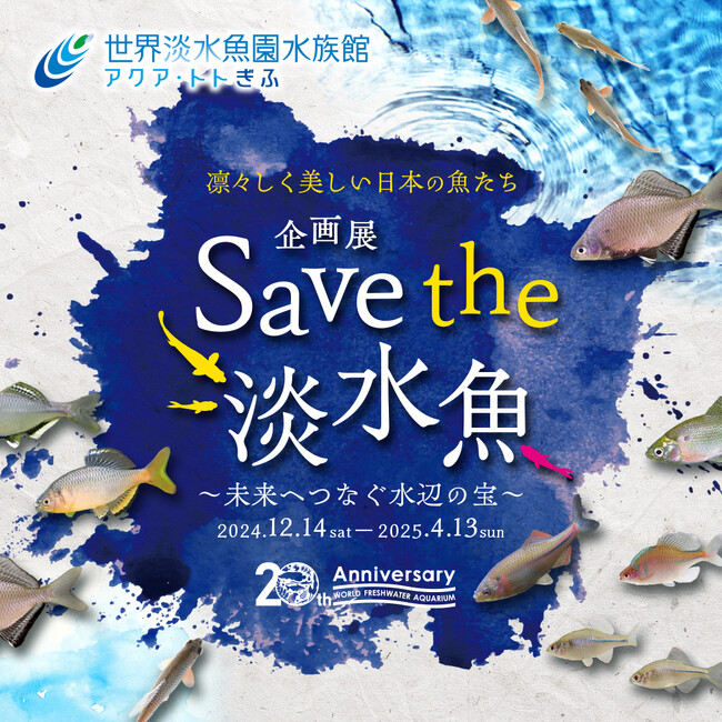 国内の汽水・淡水魚のうち169種が絶滅危惧種！　そのうち30種を常設展示する淡水魚水族館が、企画展『Save the淡水魚』を開催