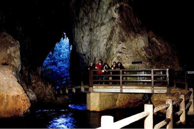 【JAF山口】気分は冒険家!JAFデー 闇ロマン in 秋芳洞を開催