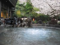 「AUBEGIO霧島観光ホテル」が春の贅沢旅をお得に販売開始！最大1万円OFFのプランや、アニバーサリープラン等　今だけの魅力プランが勢ぞろい！