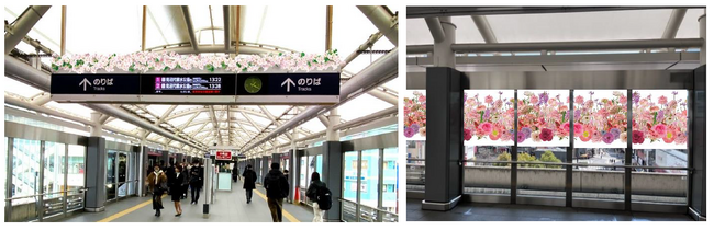 日暮里・舎人ライナーが春の装いになります　～駅と車両を日比谷花壇のデザインで装飾～