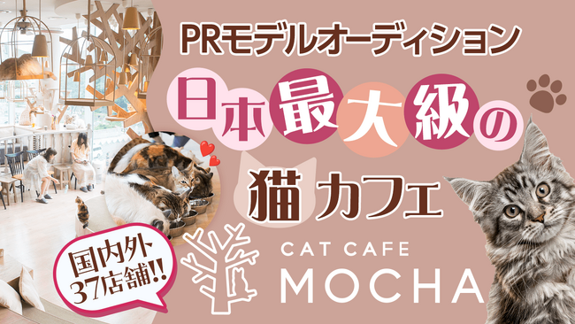 猫カフェMOCHAのPRモデルをオーディションで決定！就任モデルは駅広告や全国の店舗でのポスター掲載！ライブ配信アプリ・SHOWROOMで誰でも参加可能「猫カフェMOCHA PRモデルオーディション」