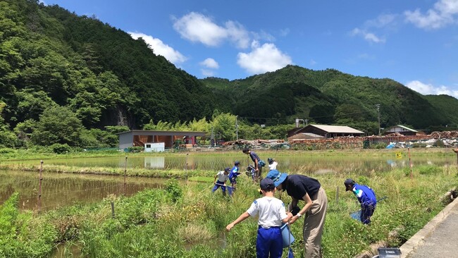 田んぼから生まれるワクワク、ドキドキをみんなで楽しみ、分かち合いながら、里山の自然や風景を守る「ビオ田んぼクラブ」が発足。2025年度メンバー募集を開始！