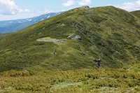 北海道大雪山系を「旅」する山岳トレイルランニングレース「大雪山トレイルジャーニー」7月20日(日)に開催　関門制限緩和とペア部門を新設