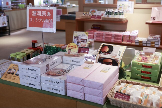 【奥湯河原温泉　山翠楼 SANSUIROU】～選ぶワクワク、開けるワクワク、楽しむワクワク～