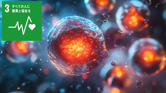 Reprimoタンパク質が細胞外から細胞死を誘導する新規経路を発見 副作用の少ない新薬開発に期待