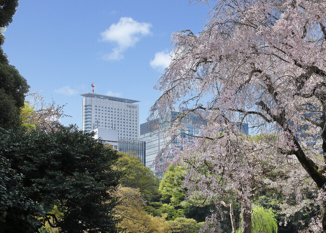 春の門出に華を添える会食におすすめな彩りカラフルなコース料理や多様化する食・ライフスタイルにも対応する東京野菜・大豆ミートを使ったヴィーガンメニューも登場！「サザンタワーダイニング」の春メニュー