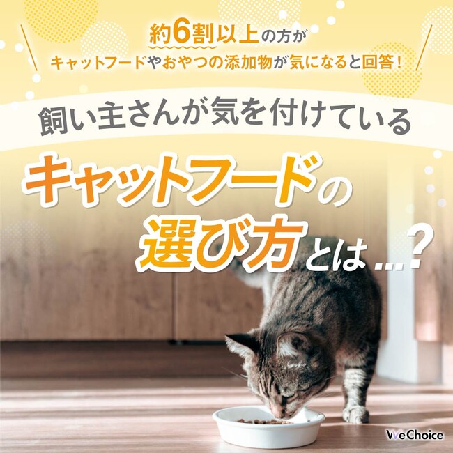 【約6割以上の方がキャットフードやおやつの添加物が気になると回答！】飼い主さんが気を付けているキャットフードの選び方とは...？