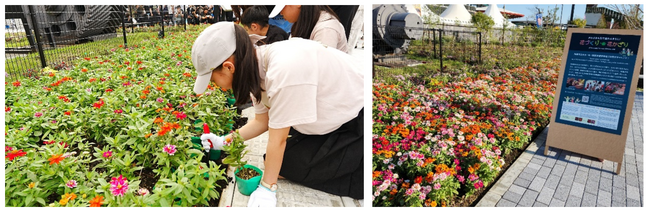 「全国都市緑化かわさきフェア」富士見公園会場にて子どもたちと花の植付けイベントを実施
