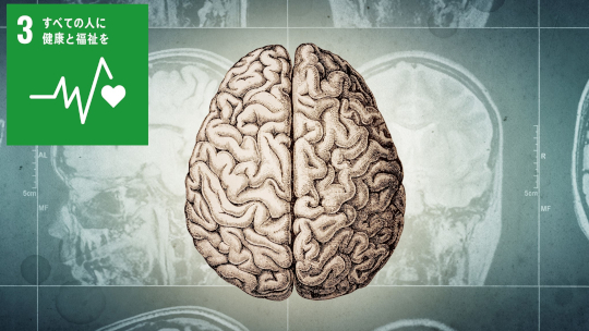 体の動きをコントロールする新しい脳回路を発見-複雑な脳パズルの未知のモジュール-