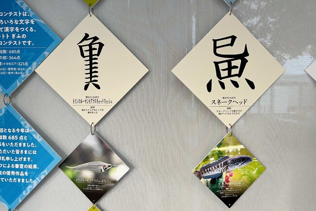 水族館が募集した、「魚」へんのオリジナル創作漢字　入賞作品が決定！