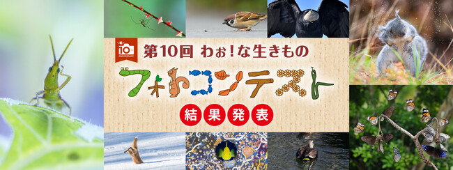「第１０回わぉ！な生きものフォトコンテスト」グランプリ発表