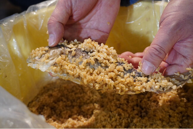 江戸時代のフナズシの再現実験の成果を発表します
